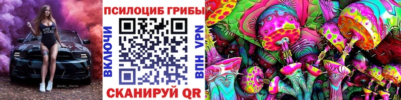 MEGA зеркало  Инсар  Псилоцибиновые грибы Psilocybe 