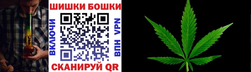 Бошки Шишки марихуана где найти Инсар